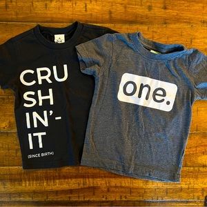⚡️3/$20 Set of Two T Shirts - 2T